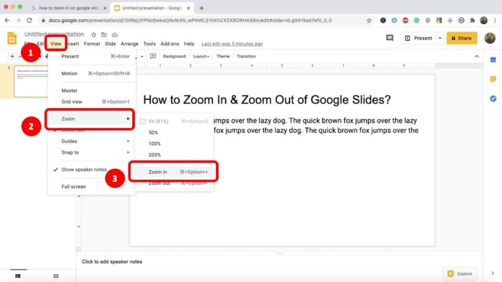 how to Zoom in and Zoom Out on Google Slides