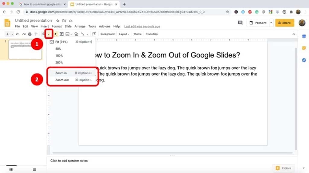 how to Zoom in or Zoom Out on Google Slides