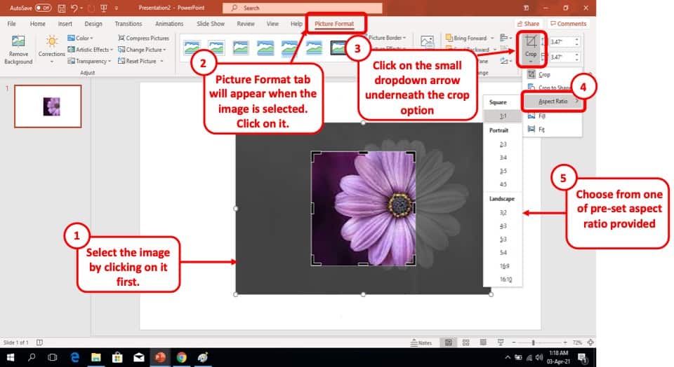 crop image in powerpoint presentation