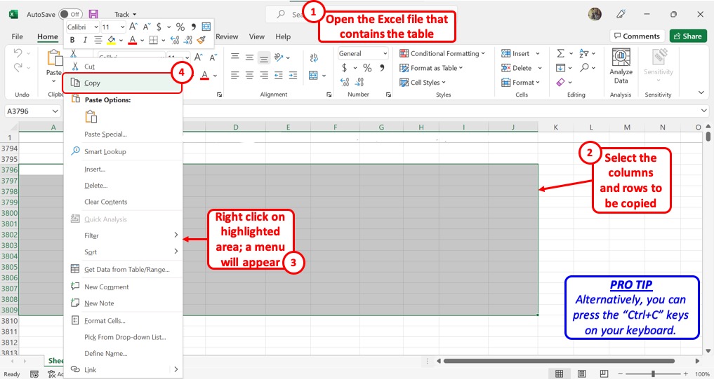 how to make presentation in excel
